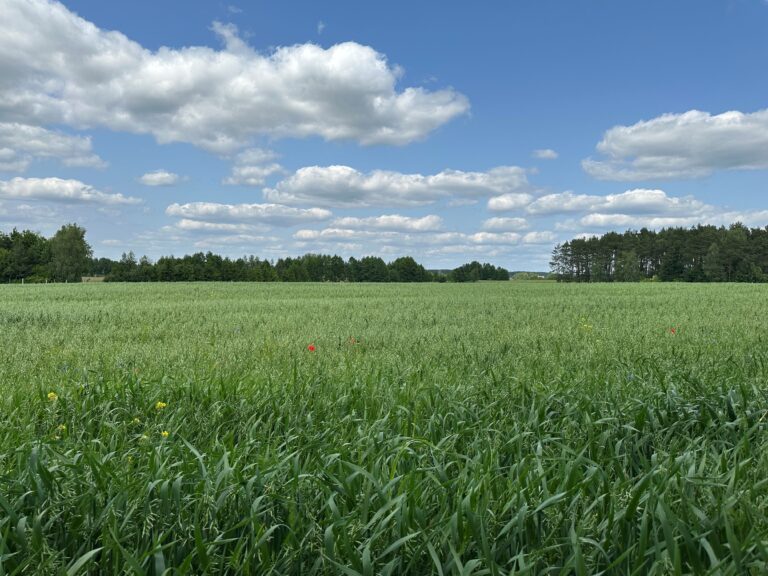 Schowek01