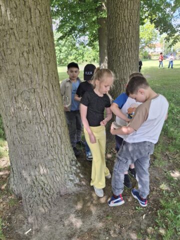3. Spotkania z przyrodą – Dzień 4